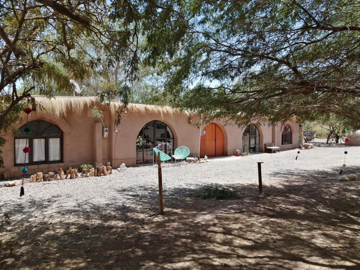 Caminandes Hostal 圣佩德罗·德·阿塔卡马 外观 照片
